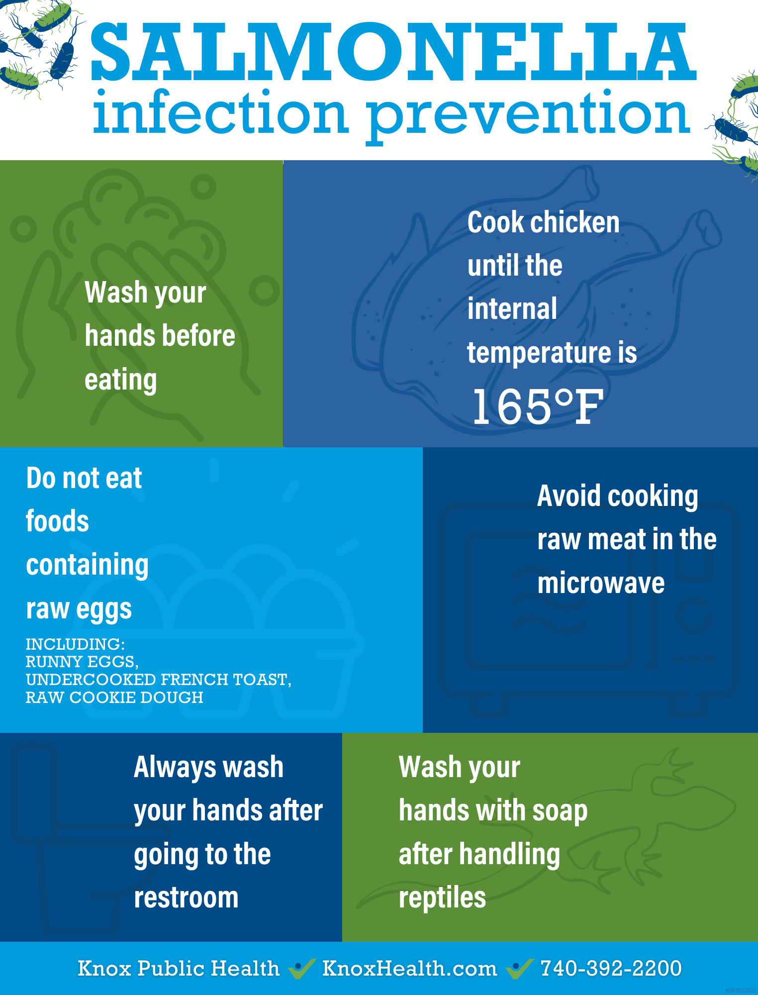 Salmonella infection prevention flyer 05152023