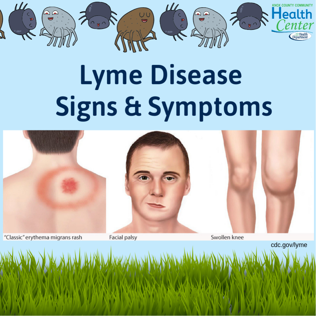 LymeDiseaseSignsandSymptoms HC LinkInBio