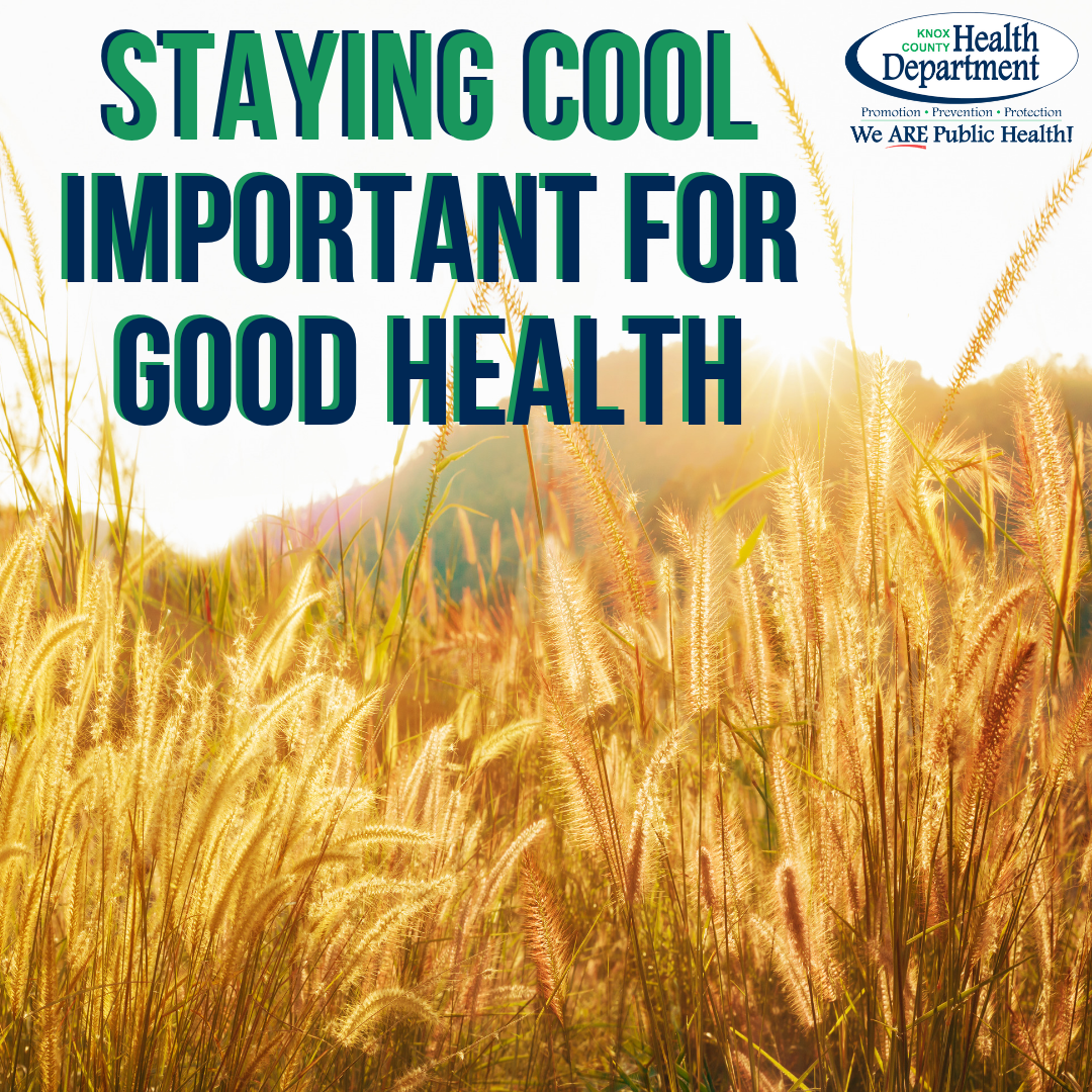 Staying cool important for good health KCHD link in bio 2