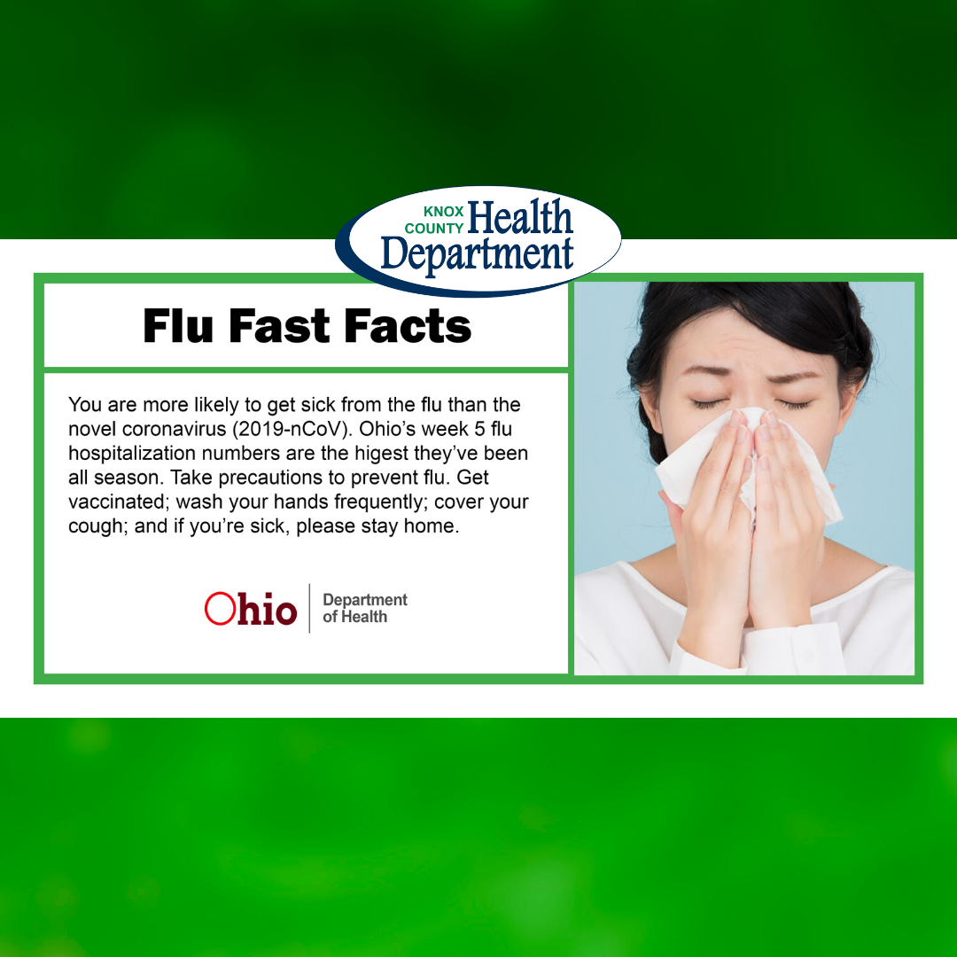 flu fast facts 02072020