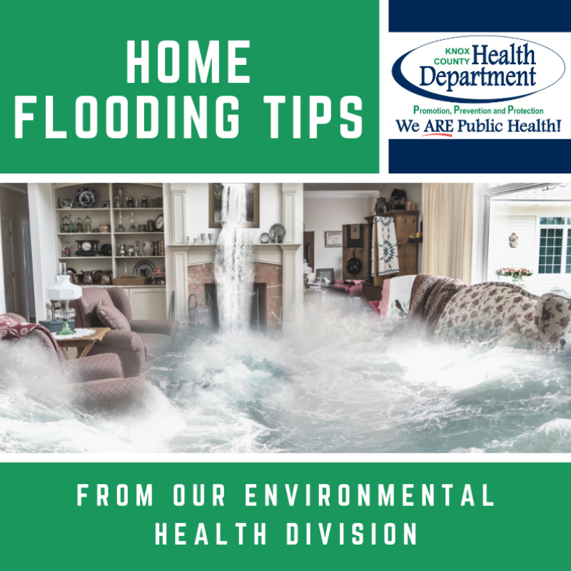 home flooding tips KCHD link in bio